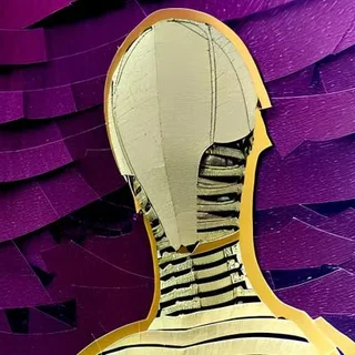 Cat’s X profile image